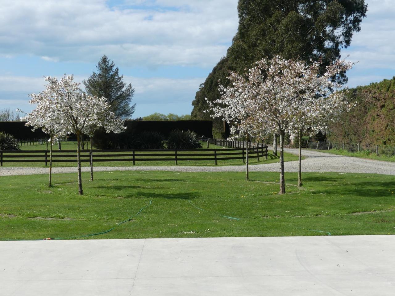 Bramley'S Stables And Accommodation Rangiora Exteriör bild